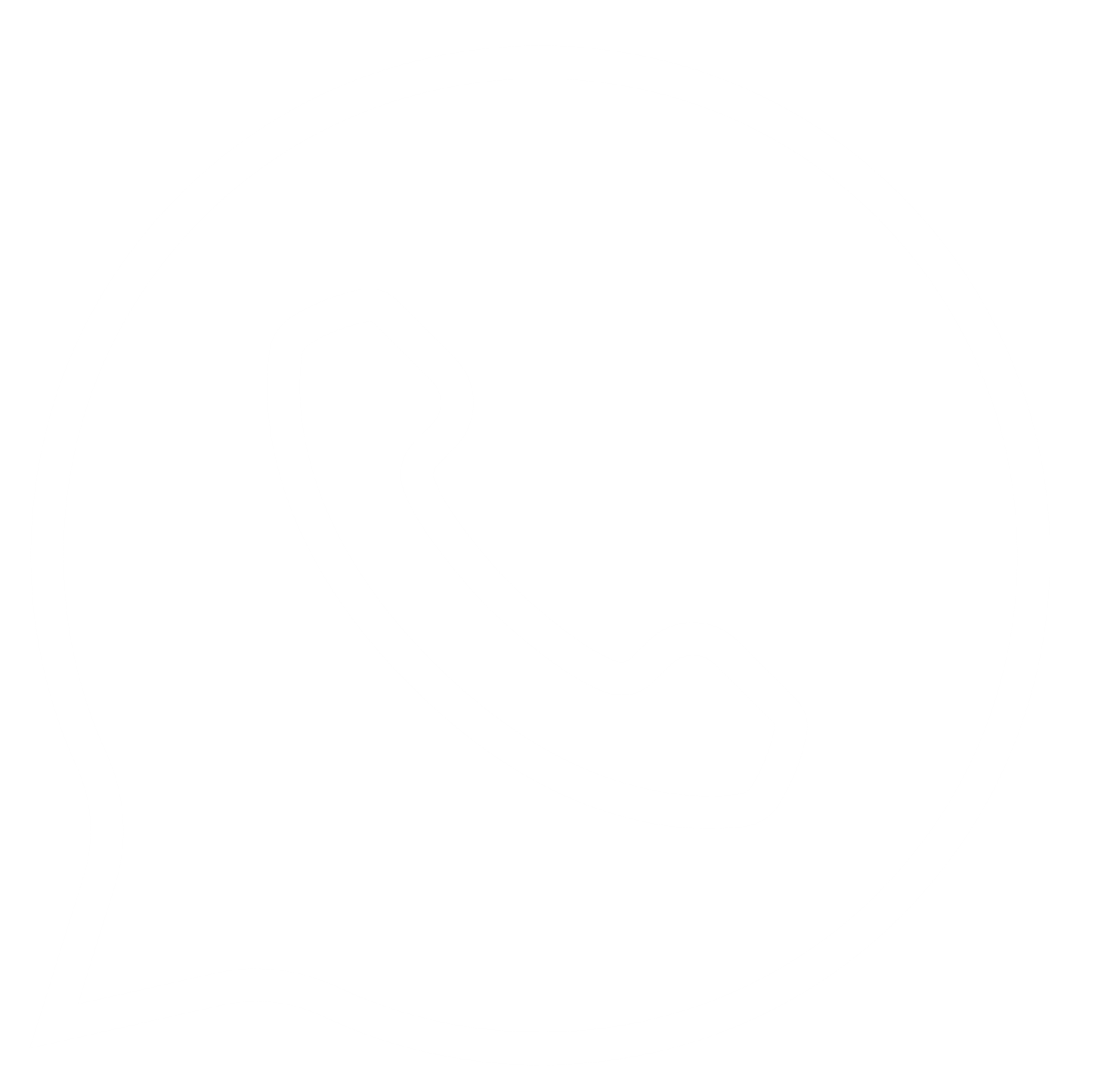 WhatsApp Icon